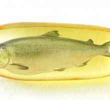 Prednosti ribljeg ulja za žene: preporuke, kontraindikacije