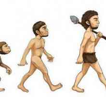 Koncept "evolucije" u filozofiji