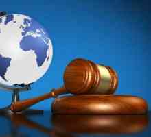 Koncept međunarodnog prava. Predmet međunarodnog prava. Načela, metode i funkcije međunarodnog prava