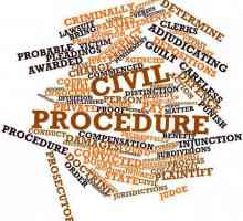 Koncept, predmet, oblike, vrste, problemi civilnog procesa. Građanski proces je ...