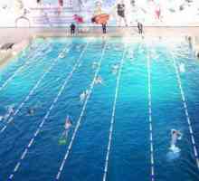 Popularni bazeni Rostova za ljubitelje kupanja