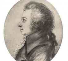 Portret Mozarta - genija čiste ljepote