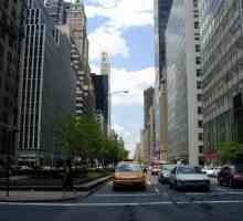 Posjet ulicama New Yorka