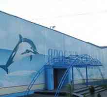 Posjet Yaroslavl Dolphinarium je eksplozija radosti i pozitivnih emocija!