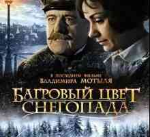 Zadnji film Vladimira Motila "Crvene boje snijega": glumci i uloge