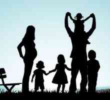 Prednosti za velike obitelji: značajke plaćanja, iznosa i dokumenata