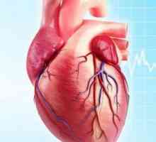 Postmiocardijska kardioloskleroza: uzroci, simptomi i liječenje