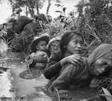 Američki gubici u Vijetnamu: po godinama