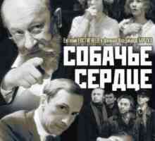Priča o Mikhail Bulgakovovom `srcu psa `: recenzije, glavni likovi, citati