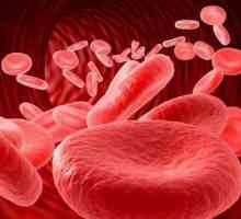 Povišene crvene krvne stanice i leukociti u mokraći: uzroci
