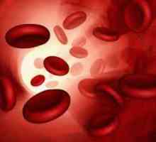 Povišeni hemoglobin u krvi - što to znači? Hemoglobin prema dobi