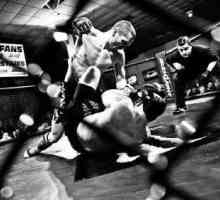 Pravila MMA: bori se bez pravila, ili mješovite borbene borilačke vještine