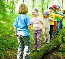 Pravila ponašanja u šumi za djecu