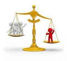 Ispravna rješenja poreznih sporova na arbitražnom sudu