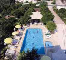 Predivna proračunska opcija za odmor u inozemstvu u hotelu Derin 3 na obali Mediterana