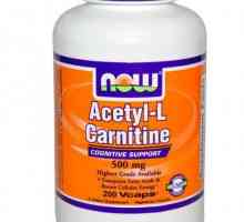 Lijek `Acetil-L-karnitin`: upute, recenzije