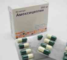 Lijek "Amoksicilin": upute o upotrebi pilule, ili Kako pobijediti infekciju