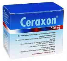 Lijek "Ceraxon" (otopina za oralnu primjenu). Upute za uporabu za djecu i odrasle