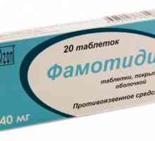 Lijek `Famotidine`: upute za uporabu, upute, opis i recenzije