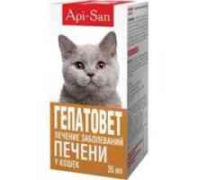 Lijek "Hepatovet" za mačke: upute i doze
