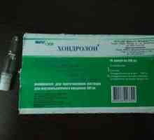 Lijek "Khondrolon": pregled pacijenata, oblik otpuštanja, indikacije, upute za uporabu