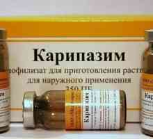 Lijek `Karipazim`. Elektroforeza - što je to?