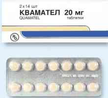 Lijek `Kwamatel`: analozi i recenzije o njima