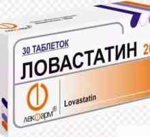 Lijek "Lovastatin": upute za uporabu, analozi, opis, sastav i recenzije