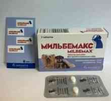Lijek `Milbemax` za pse: liječenje helmintijaza