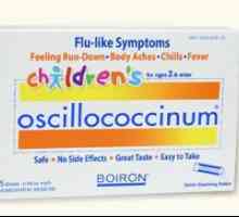 Oscillococcinum: analog. Kako mogu zamijeniti Oscillococcinum?