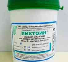 Lijek "Pikhtoin" (mast) za životinje: upute za uporabu