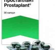 Priprema "Prostaplant": upute o primjeni, odgovori