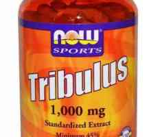 Liječenje Tribulus: kako uzeti, sastav, značajke i recenzije
