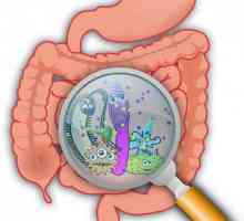 Pripreme za normalizaciju crijevne mikroflore: popis i opis lijekova