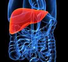 Kada bolest jetre možete jesti jetru: korisna svojstva, preporuke stručnjaka i povratne informacije