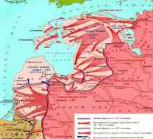 Baltička operacija 1944. godine je strateška ofenzivna operacija sovjetskih vojnika. Ferdinand…