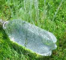 Primjena plastičnih boca u zemlji: korisni proizvodi i ukrasi