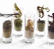 Primjena alga u prahu. Alge u kozmetici i kulinarstvu