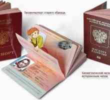 Primjer popunjavanja zahtjeva za novu putovnicu. Ispravno popunjavanje zahtjeva za novu putovnicu