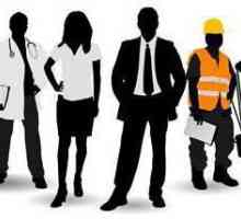 Primjeri radnog prava: opis, značajke i načela