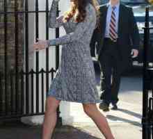 Princeza Kate Middleton ponovno je trudna?
