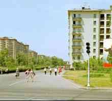 Što je Pripyat?