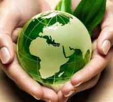 Tehnologije zaštite okoliša. Problem onečišćenja okoliša. Ljudski utjecaj na prirodu