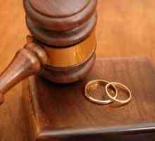 Priznanje braka kao nevaljano: osnova, tužba, postupak priznavanja