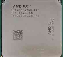 AMD FX-4300 procesor: opis i recenzije