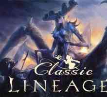 Projekt 4game lineage 2 classic. Ili na podrijetlo Lineagea