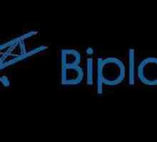 Projekt `Biplane Life`: recenzije o radu na Internetu