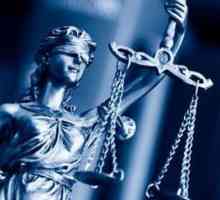 Sudijska struka: opis, prednosti i mane, značajke