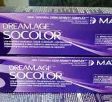 Profesionalna boja za sijedu kosu: vrste i recenzije proizvođača