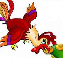 Porijeklo i značenje frazeologije "kokoši ne peck"